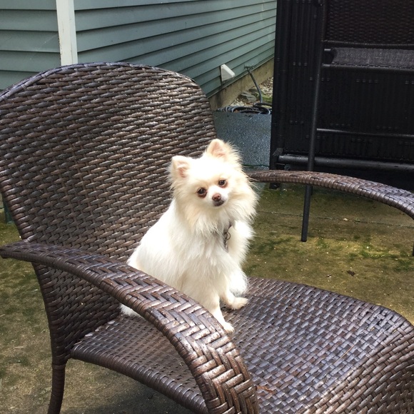 Welcome To My Closet - Picture 10 of 16